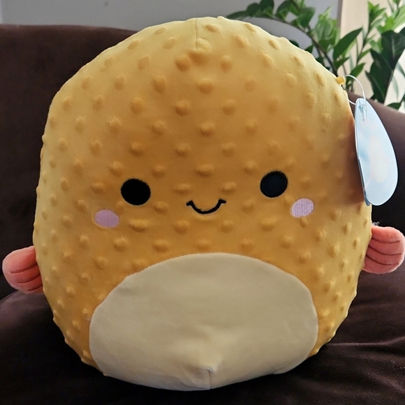 Squishmallows Toys Safa The Puffer Fish Squishmallow 1 Nwt Poshmark